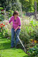 Weeding a border with a hoe, September