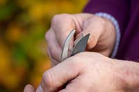 Sharpening secateur blades with a sharpening stone, November