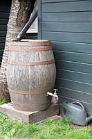 Traditional, wooden water-butt and plastic watering-can beside garden shed in Chelsea Physic Garden, London. A silver birch tree - Betula utilis is planted close-by.