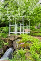 Malus domestica - Common Apple tree in bloom over white wooden arbour and manmade waterfall bordered by Pteridophyta - Fern plants, Bryophyta - Moss and lichen growth on rocks in backyard garden in spring, Le Jardin de Francois garden, Quebec, Canada.