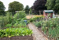 Allotment with vegetable beds