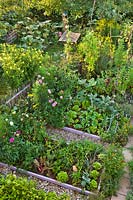 Mixed planting of flowers, vegetables and herbs