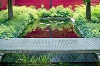 Metal grate walkway over pond with Alchemilla and Bamboo. Red fence, June.