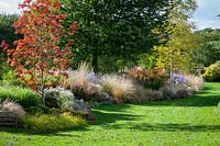 Autumn border at Ashwoods with Chionochloa rubra  - Red tussock grass, Sorbus commixta 'Olympic Flame', Symphyotrichum ericoides 'Rosy Veil' and Berberis thunbergii f. atropurpurea 'Rosy Rocket'