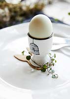 Table setting for Easter with eggs