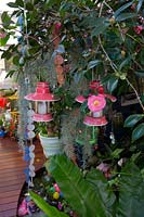Two pink and white  metal and glass candle holders suspended in a tree with a single pink Camellia japonica flower, wind chimes and Tillandsia usenoides, Spanish moss.
