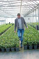 Johan Jansen, owner of Special Plant Zundert, developed Camellia Sinensis first tea plant in Europe, November,