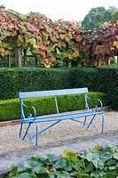 A bright blue painted bench sits on pea shingle and brick by Water Lily filled pond, backed with Vitis coignetiae, Taxus baccata - Yew - hedge and a lower Buxus sempervirens  - Box - hedge.