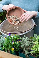 Having drilled a drainage hole in the pan, cover with gravel and crocks -Planting Preserving Pan with Herbs