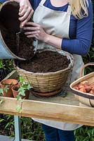 Adding general purpose compost - Planting a Tulip Hanging Basket in Autumn