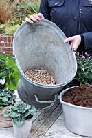 Adding gravel over holes drilled in bottom of bucket, to aid drainage - Planting a Vintage Autumn Bucket