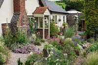 A gravel path is edged in Erigeron glaucus, salvias, fleabane, penstemons, roses and delphiniums.