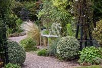 View into White Garden, past box balls of Euonymus fortunei 'Variegatus', to Stipa calamagrostis 'Karl Foerster' by bench.