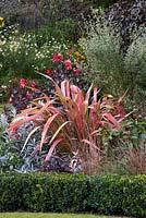 Phormium 'Jester', New Zealand flax, in autumn herbaceous border.