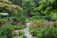 Water Garden at Newby Hall, paths edged in Harlow Carr candelabra primulas, June. 