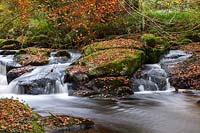 A view of a rocky stream and waterfalls surrounded by mossy boulders littered with fallen autumnal leaves 