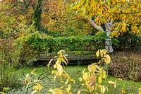 Pond and bridge with Wisteria in arboretum and nursery, Derbyshire, October. 