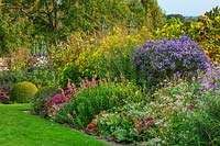 Autumn border in september - Sedums, Penstemons, Asters, Bergenia - Bourton house garden, Gloucestershire
