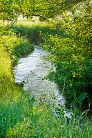 Stream in summer, Brockhampton, Herefordshire.