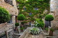 Courtyard garden with potted Bay trees and Wisteria, Burford, Oxfordshire.