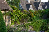 Old vine and stone cottages, Burford, Oxfordshire.