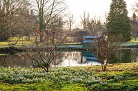Snowdrops beside lake with boat house in winter, Chippenham Park, Cambridgeshire. 