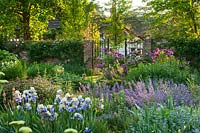 Herbaceous border in walled garden, Surrey, June.