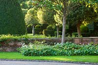 View from drive of low brick wall into formal topiary garden beyond

