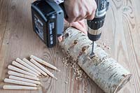Close up detail of using a cordless drill to make candle holes in Birch wood