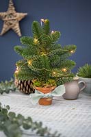 Miniature Christmas tree lit with small LED lights