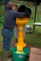 Speidel Electric Apple Mill in use at Community apple juicing day in Sampford Peverell, Devon, late October - feeding apples through the mill