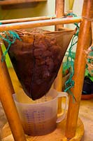Making Medlar Jelly - straining boiled up pulp through a jelly bag using an upturned stool to hold the bag - Mespilus germanica