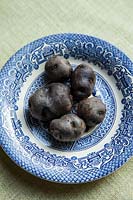 Solanum tuberosum - Potato 'Congo'. An old heritage variety
