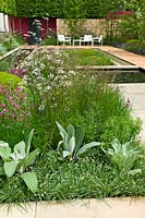 Contemporary garden and planting, RHS Chelsea Flower Show, Designer Robert Myers. Verbascum, Luzula, Anthriscus, Silene