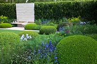 Formal Garden with Clipped topiary balls of Buxus sempervirens with Anchusa azurea 'Loddon Royalist'