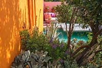 The Inland Homes: Beneath a Mexican Sky garden at the RHS Chelsea Flower Show 2017. Sponsor: Inland Homes plc. Designer: Monoj Malde. Awarded a Silver
