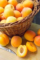 Apricots (Prunus armeniaca), wicker basket, knife, , table top