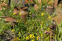 meadow flowers with old rusty milk churns
