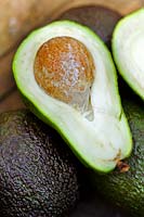 Avocado (Persea gratissima) split in half revealing flesh and seed