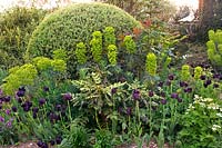 Spring border at Denmans Garden (home of garden designer John Brookes), Chichester, Sussex, England