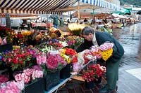 Flower stalls, flower market, man, Marche aux Fleurs, the old city, Nice, France