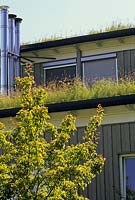 Building with multiple green roofs