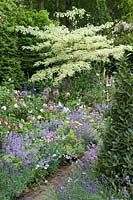 Perennial border with flowering tree in RHS Chelsea Show Garden 2007 by Chris Beardshaw Silver Gilt