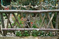 Rustic chestnut wooden fence with garden behind Eucalyptus Pinus sylvestris Papaver rhoeas geranium