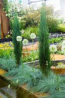 Contemporary garden Hosta Vista by Binny Plants Landmarkers & Andrea Geile Gold Medal Gardening Scotland 2007