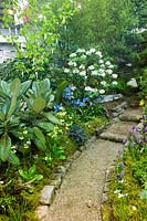 Northern Highlights path through beds with rhododendron primula meconopsis bamboo pine betula