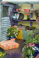 Deck shelving with bedding plants in plastic pots Cushion on floor beside shed Petunias in old chicken manure pot in full flower