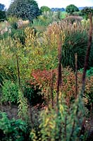 Large autumnal perennial bed with ornamental grasses including Miscanthus trees Piet Oudolf s Garden Hummelo Holland