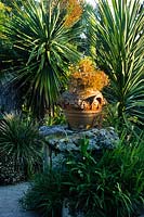 Cordyline australis Purpurea Group cabbage palm growing in a garden setting ceramic urn with geranium on stone plinth