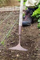 Gardener using an antique hoe to weed vegetable bed